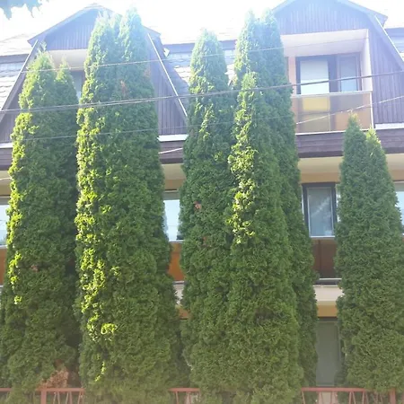 Rubin Apartment